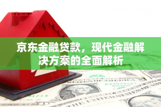 雨花京东金融贷款，现代金融解决方案的全面解析
