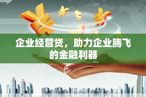 安岳企业经营贷，助力企业腾飞的金融利器