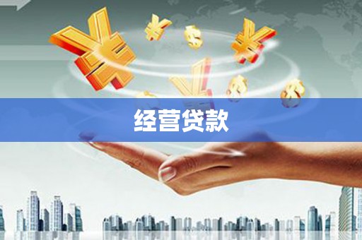 成安经营贷款
