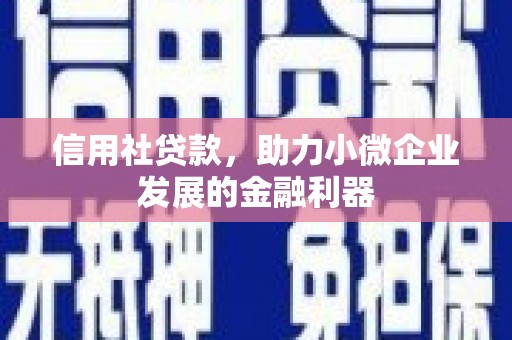 芦溪信用社贷款，助力小微企业发展的金融利器