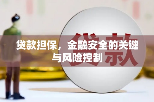 长兴贷款担保，金融安全的关键与风险控制
