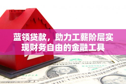 嵊泗蓝领贷款，助力工薪阶层实现财务自由的金融工具