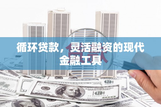船营循环贷款，灵活融资的现代金融工具
