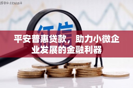 天心平安普惠贷款，助力小微企业发展的金融利器