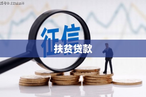 合江扶贫贷款