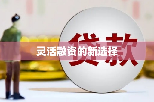 鹿城灵活融资的新选择