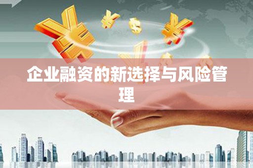 平安企业融资的新选择与风险管理
