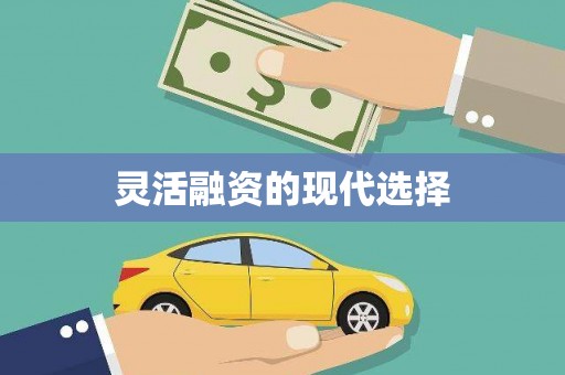 凌源灵活融资的现代选择
