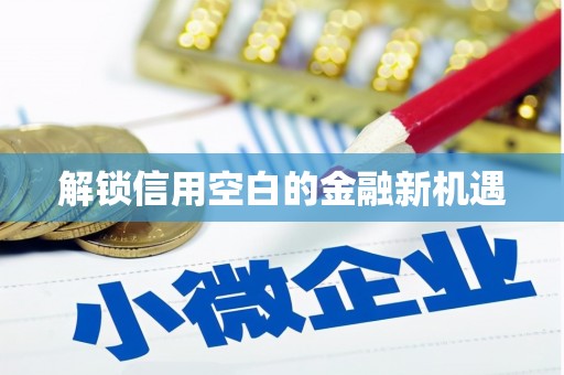 南湖解锁信用空白的金融新机遇