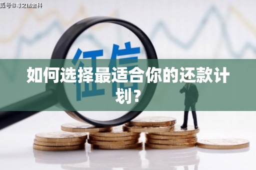 土默特左旗如何选择最适合你的还款计划？