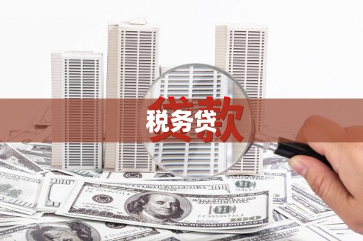 麦寮税务贷